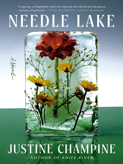 Cover image for Needle Lake